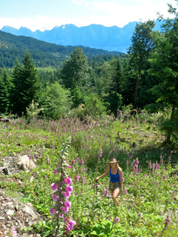 Photo of author in foxglove field.